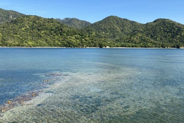 【大切なお知らせ】2026年も、大野あさりの販売を停止致します