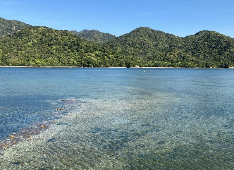 【大切なお知らせ】2026年も、大野あさりの販売を停止致します